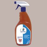Antibacterial Antiseptic Disinfectant - 750ML